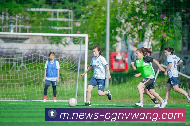 PG电子赏金女王APP 体育赛事宣传图